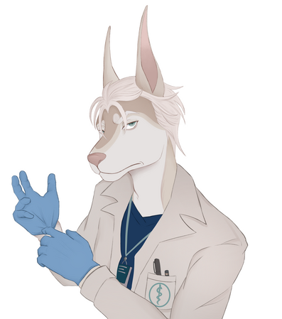 Bust